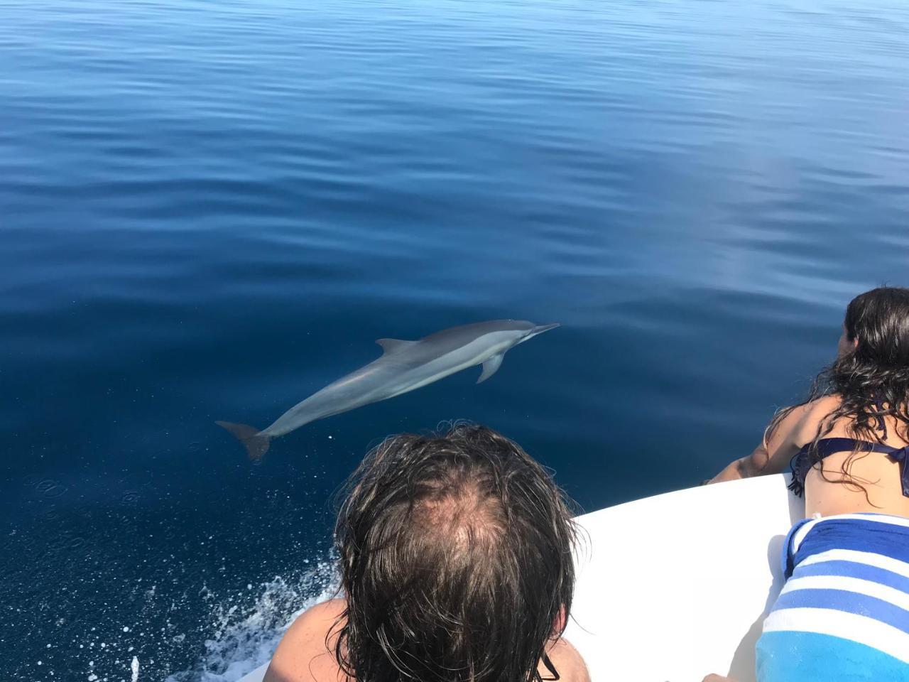 Sancia Lodge Fulidhoo Dış mekan fotoğraf